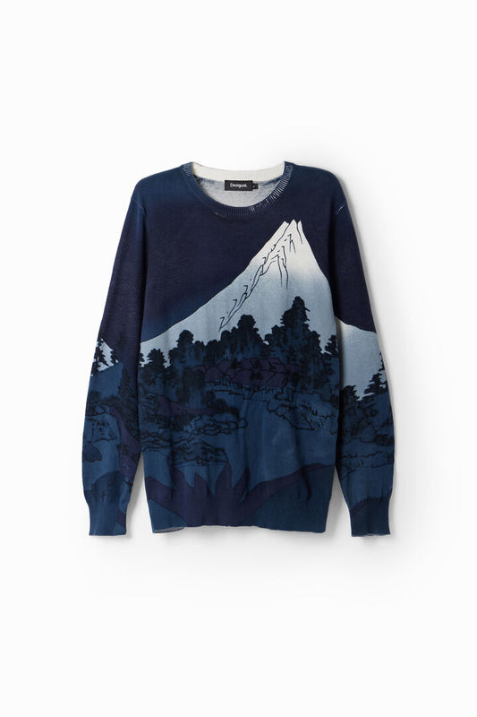 Desigual Jumper Francesco Navy (24SMJF01_5000) Men
