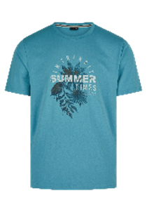Hechter Paris Opal T-shirt (75016-131929-605) Men