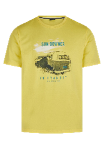 Hechter Paris Lemon T-shirt (75017-131929-120) Men