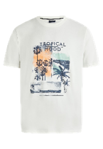 Hechter Paris Offwhite T-shirt (75019-131929-60) Men