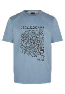 Hechter Paris Grey Blue T-shirt (75021-131929-645) Men