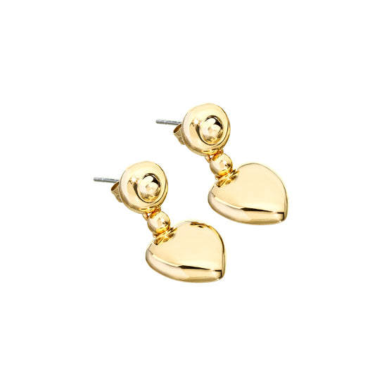 Chiara Ferragni Earrings (J19AXP05) Women